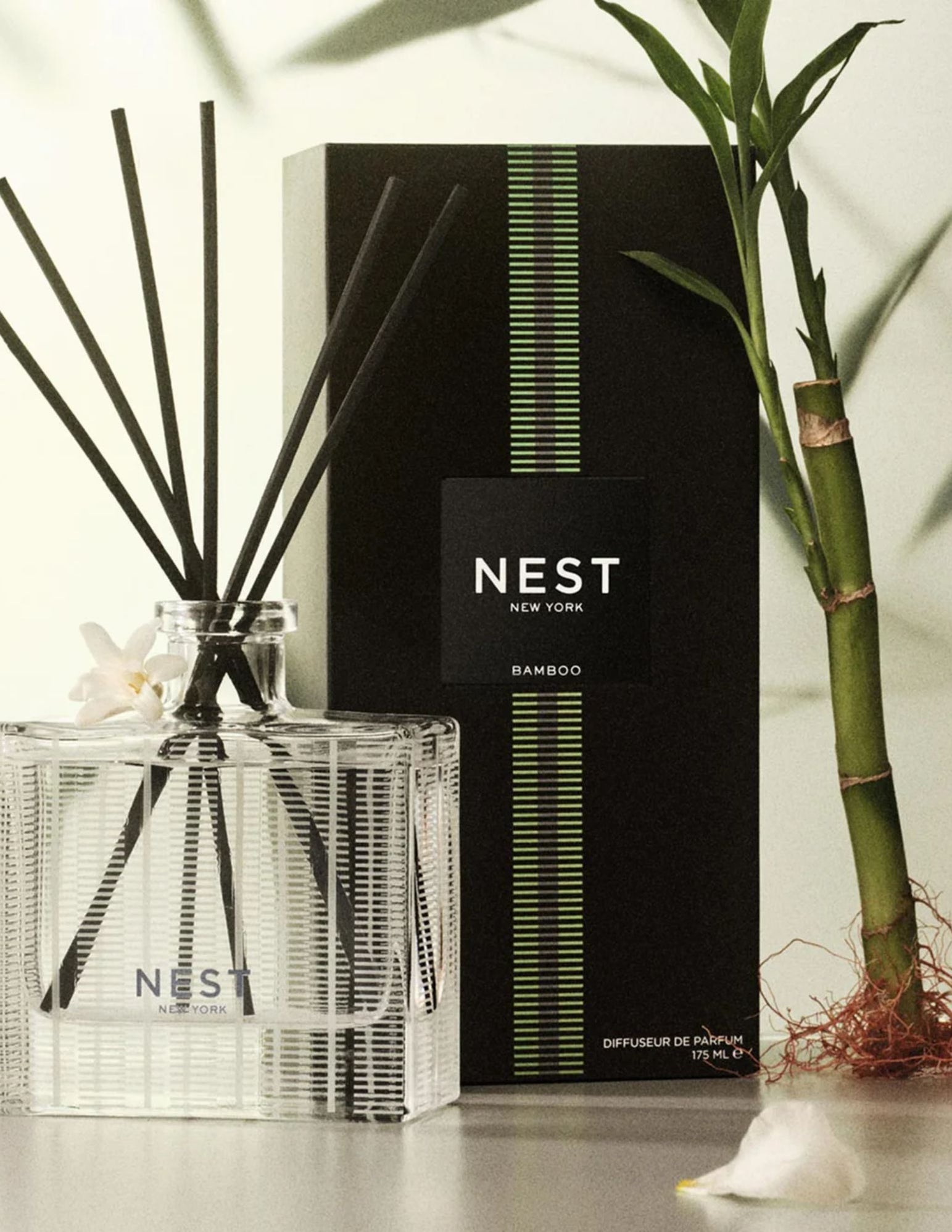 Bamboo Reed Diffuser– M PENNER